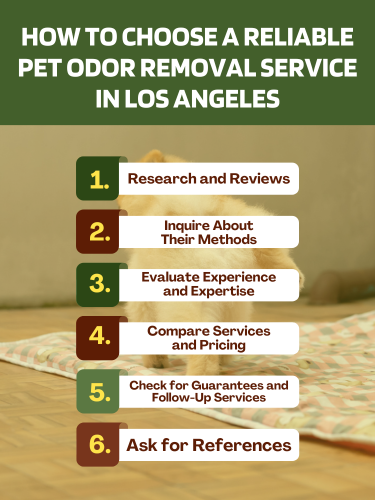 reliable pet odor